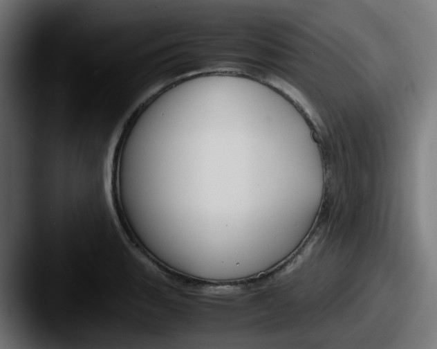 X0000087541135200705181044