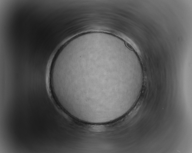 X0000087541136200705181044