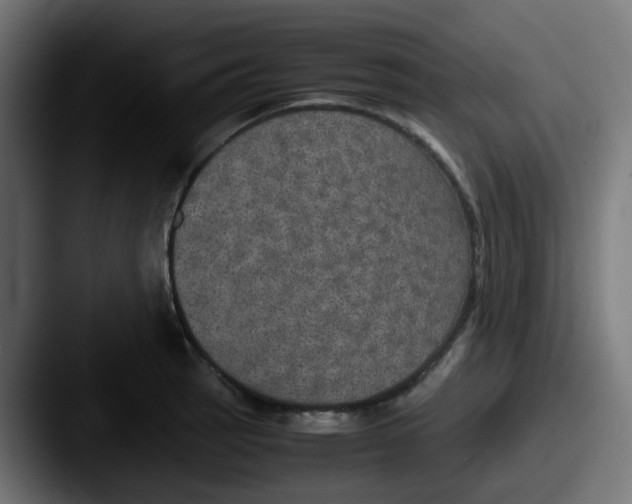 X0000087541137200705181044