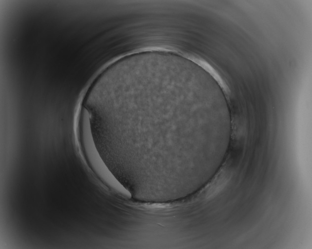 X0000087541140200705181044