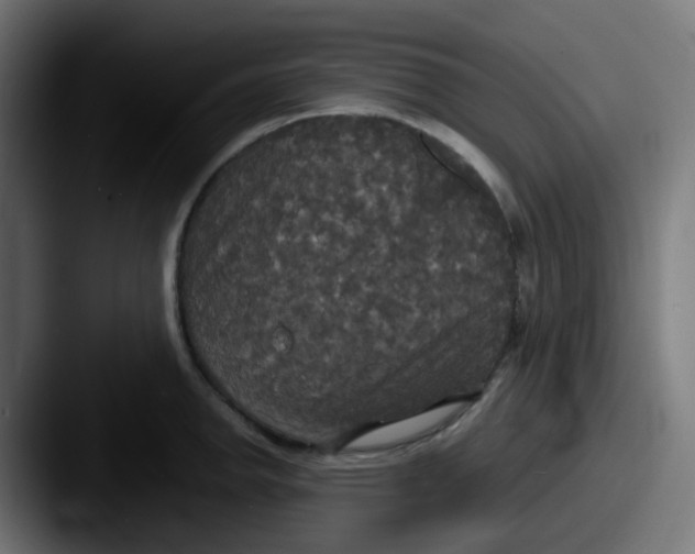 X0000087541142200705181044