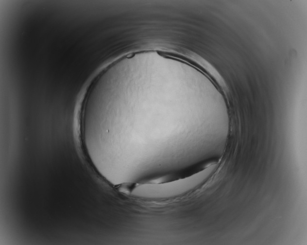 X0000087541144200705181044