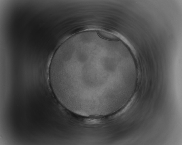 X0000087541145200705181044