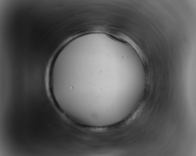 X0000087541147200705181044