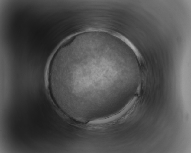 X0000087541148200705181044