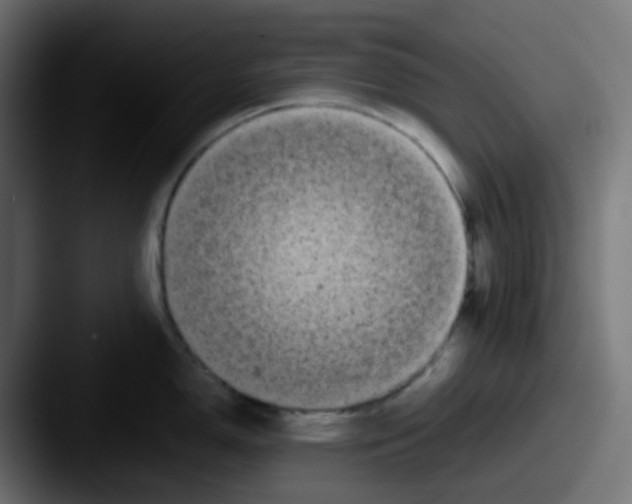 X0000087541150200705181044