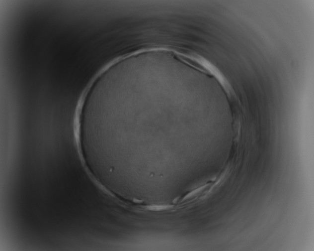 X0000087541151200705181044