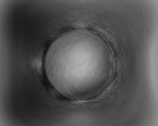 X0000087541157200705181043