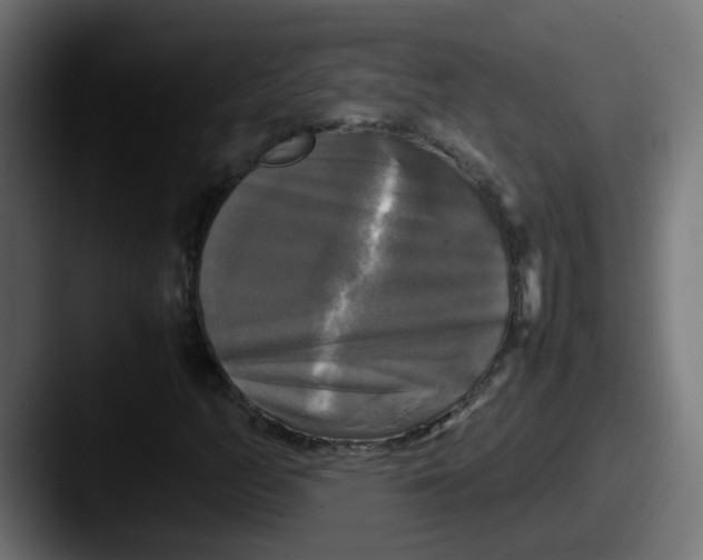 X0000087541158200705181043