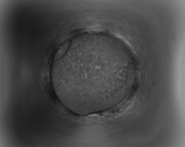 X0000087541159200705181043