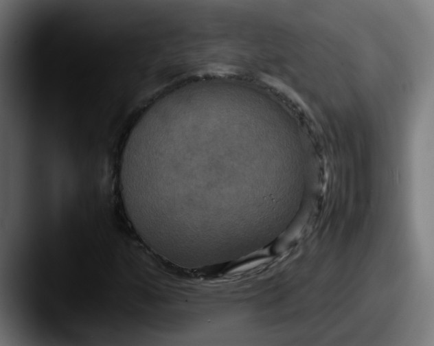 X0000087541160200705181043