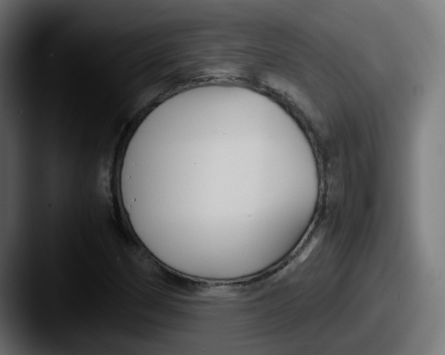 X0000087541162200705181043