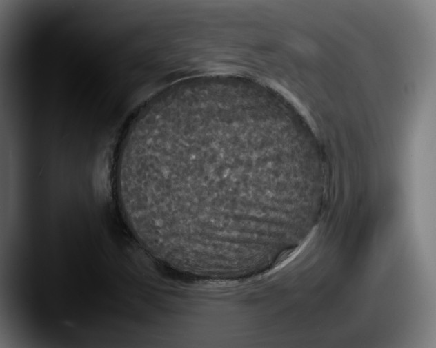 X0000087541163200705181043