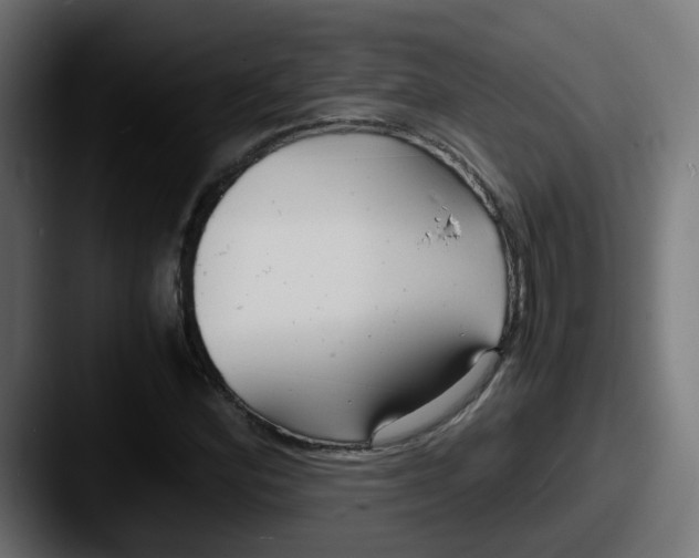 X0000087541164200705181043