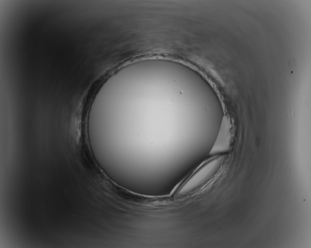 X0000087541165200705181043