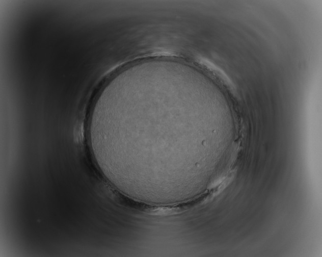 X0000087541166200705181043