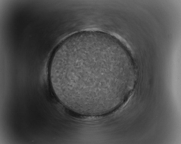 X0000087541167200705181043