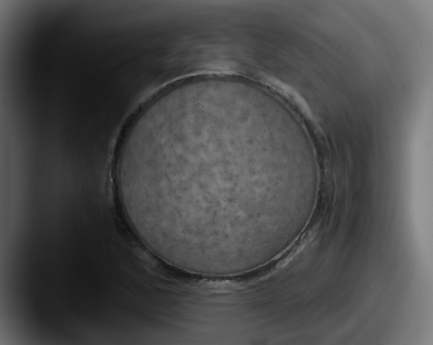 X0000087541168200705181043