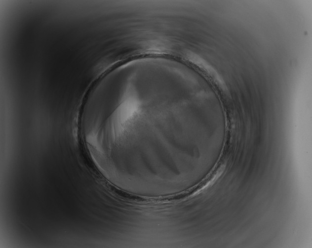 X0000087541170200705181043