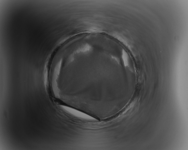 X0000087541171200705181043