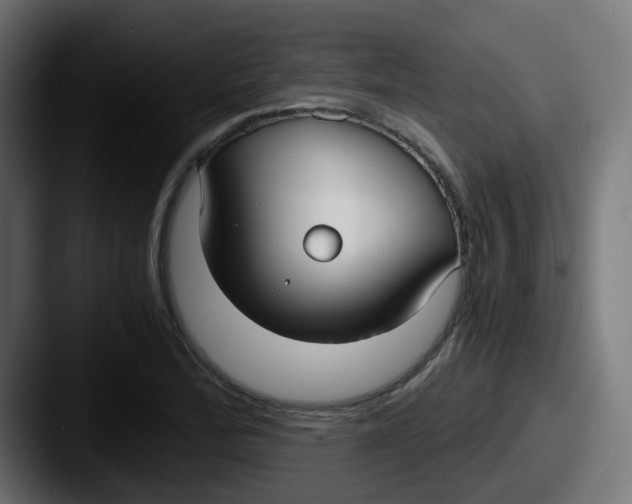 X0000087541172200705181043