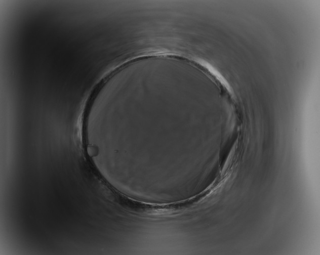 X0000087541173200705181043