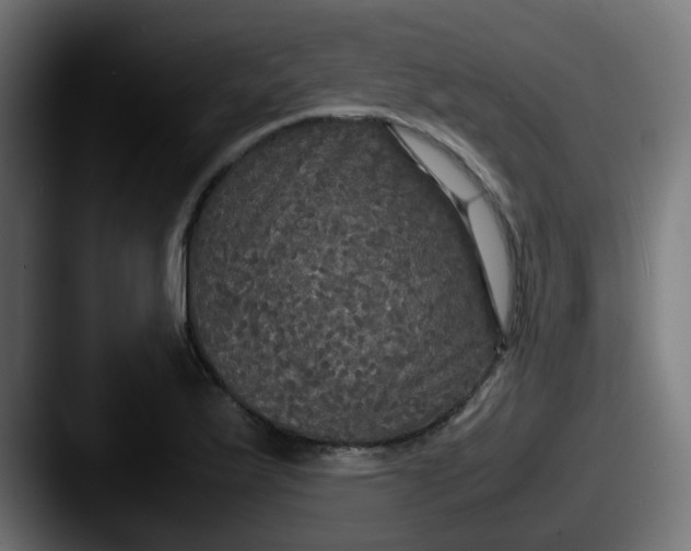 X0000087541175200705181043