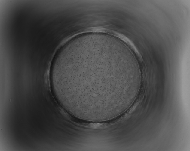 X0000087541176200705181043