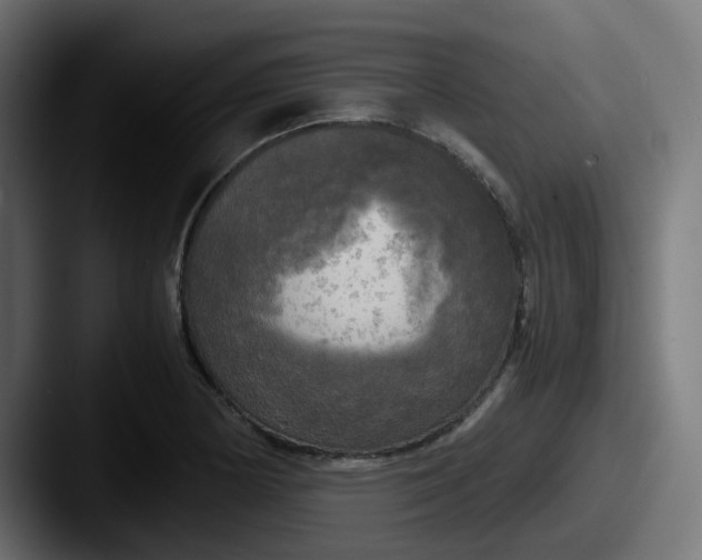 X0000087541178200705181043