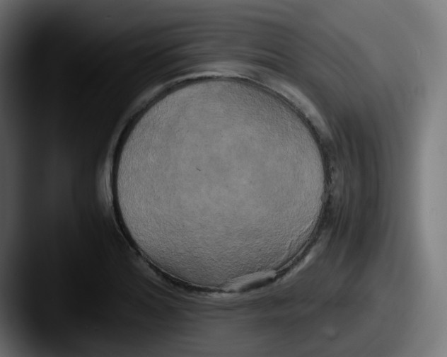 X0000087541180200705181043