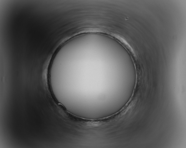 X0000087541181200705181043