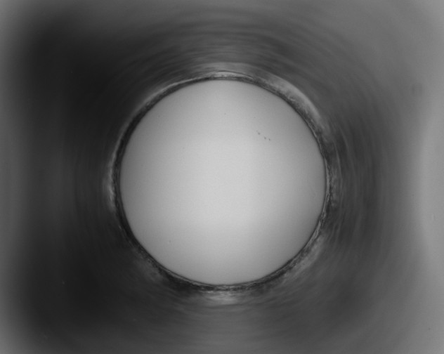 X0000087541182200705181043