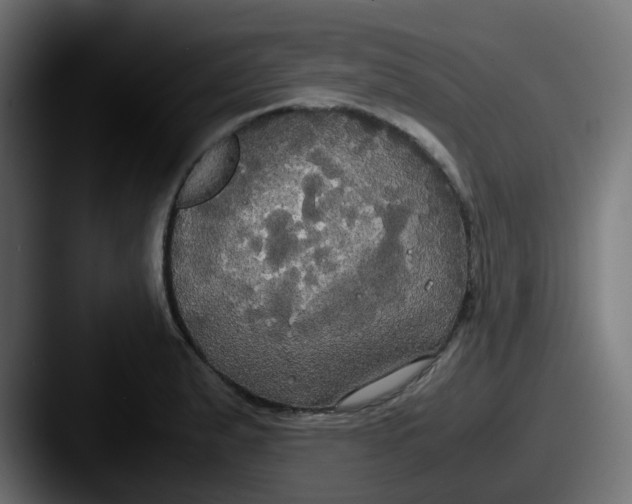 X0000087541183200705181043