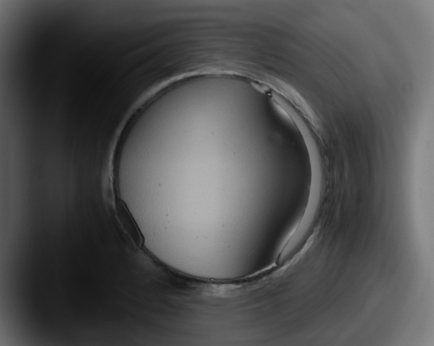 X0000087541184200705181043