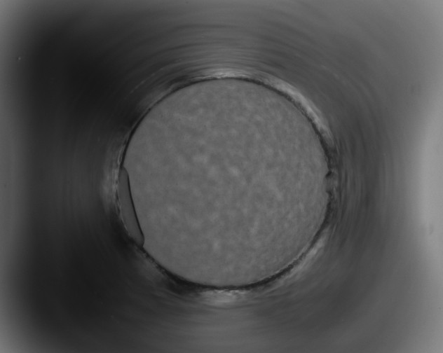 X0000087541185200705181043