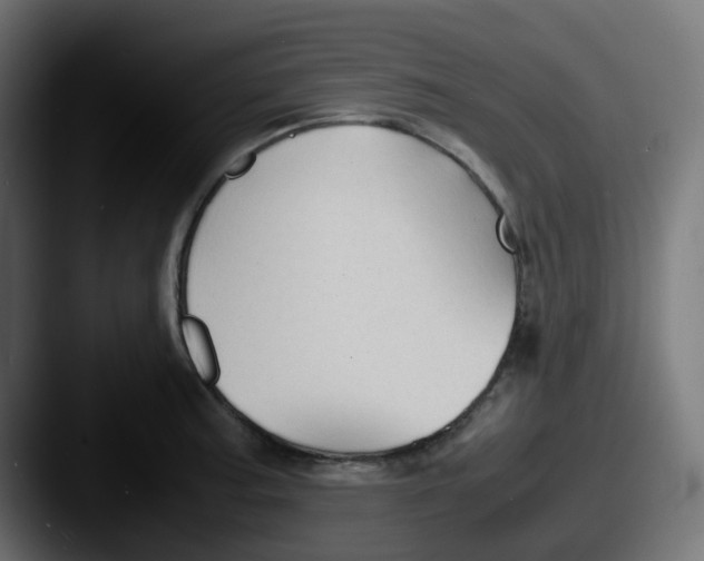 X0000087541187200705181043