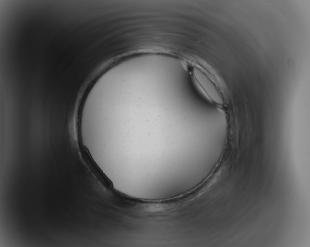 X0000087541188200705181043