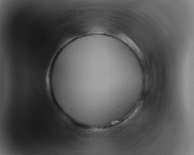 X0000087541190200705181043