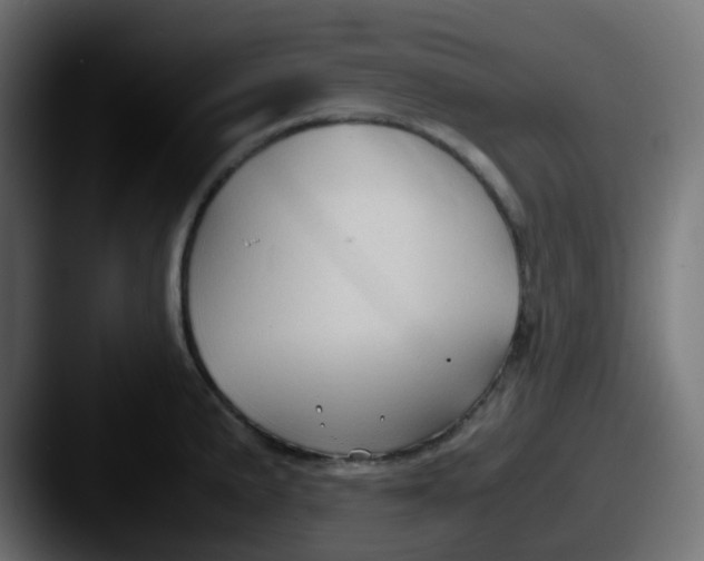 X0000087541191200705181043