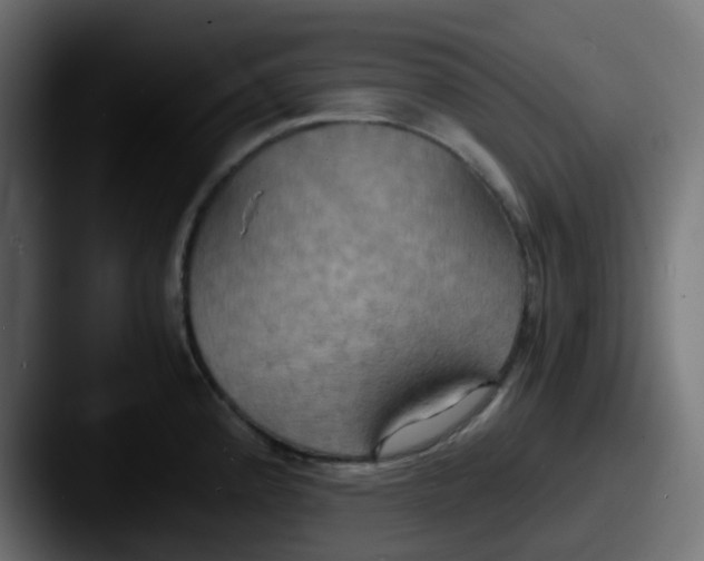 X0000087541192200705181043