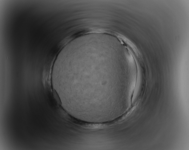 X0000087541193200705181043