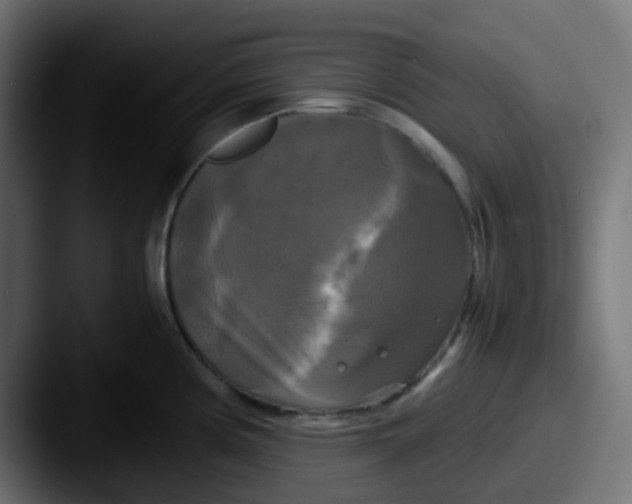 X0000087541194200705181043