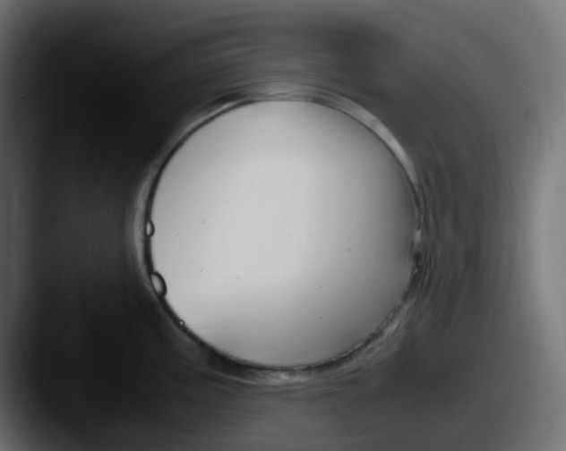 X0000087541195200705181043