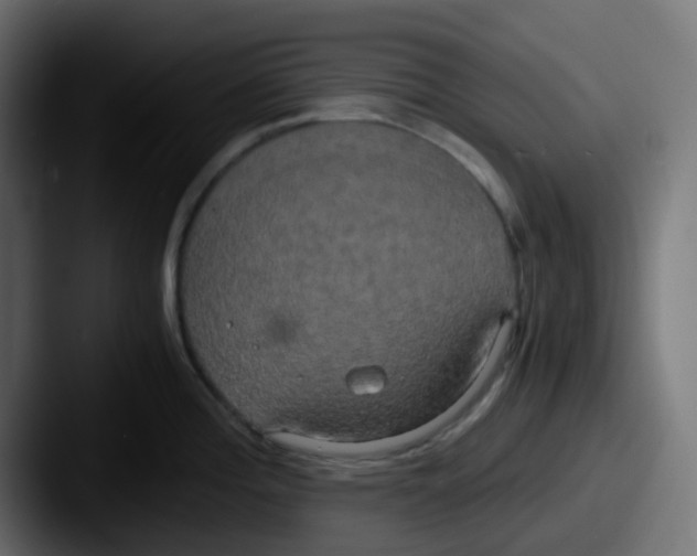 X0000087541196200705181043