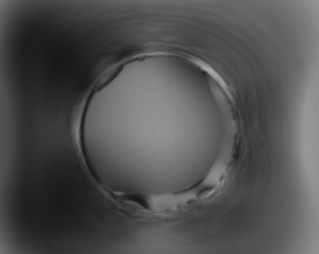 X0000087541197200705181043