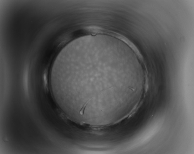 X0000087541198200705181043