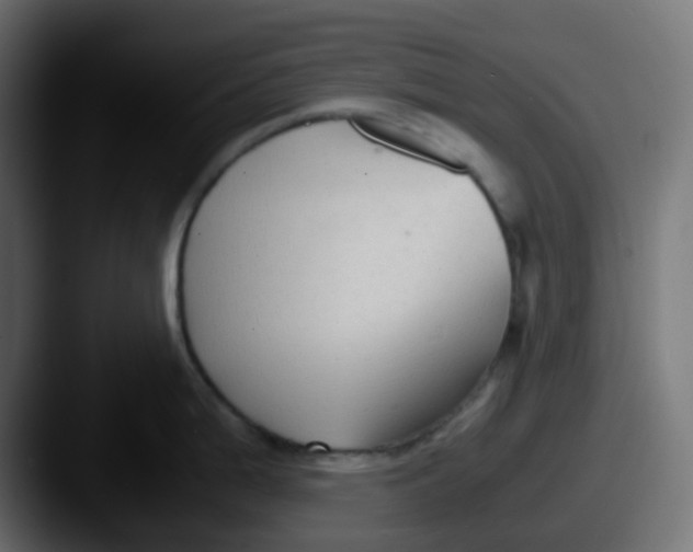 X0000087541199200705181043