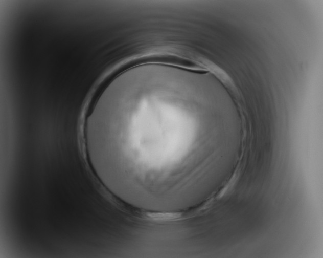 X0000087541200200705181043