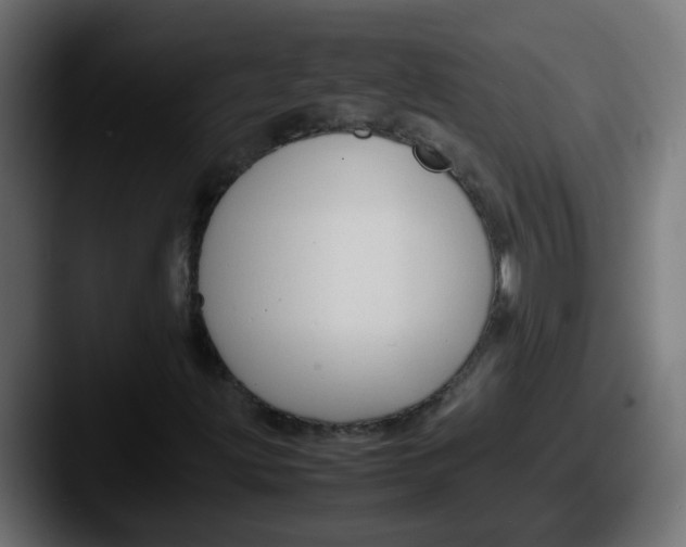 X0000087541203200705181042