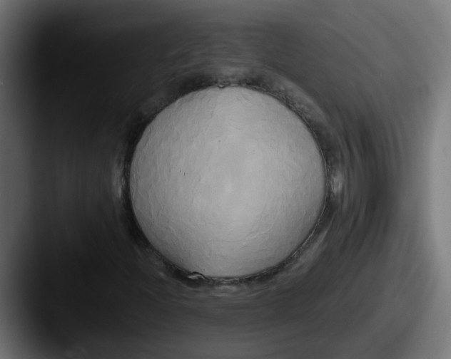 X0000087541204200705181042